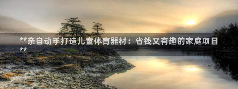 尊龙官方：**亲自动手打造儿童体育器材：省钱又有趣的