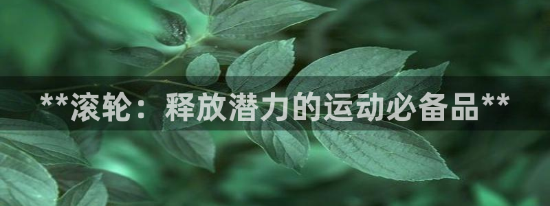 尊龙人生就是博电脑版：**滚轮：释放潜力的运动必备品