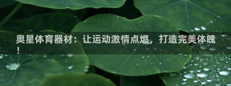 尊龙人生就是博官网登录手机：奥星体育器材：让运动激情