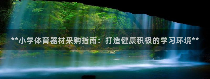 凯时kb88官方：**小学体育器材采购指南：打造健康