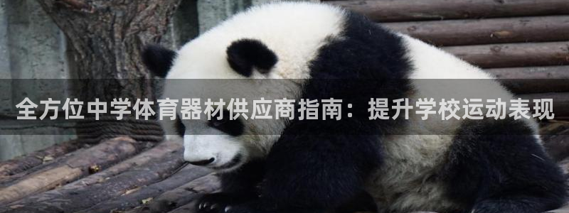 尊龙z6网址：全方位中学体育器材供应商指南：提升学校