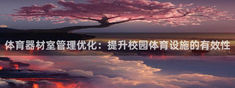 尊龙多少岁：体育器材室管理优化：提升校园体育设施的有