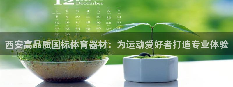 尊龙游戏官方网：西安高品质国标体育器材：为运动爱好者