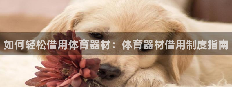 尊龙AG发财网：如何轻松借用体育器材：体育器材借用制
