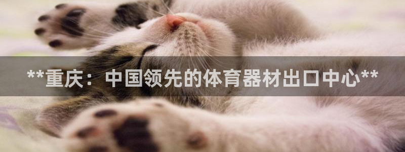 尊龙凯时app产品介绍：**重庆：中国领先的体育器材