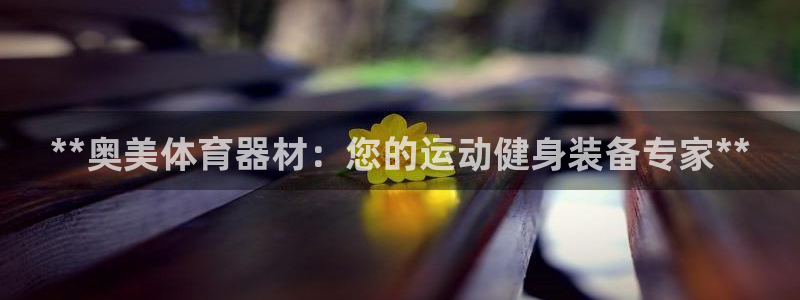 尊龙凯时人生就是搏技术实力：**奥美体育器材：您的运