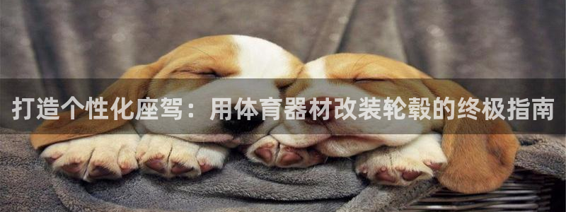 尊龙凯时旗舰厅百家乐下载：打造个性化座驾：用体育器材