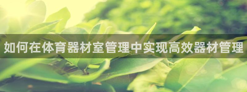 凯时官网的售后服务：如何在体育器材室管理中实现高效器