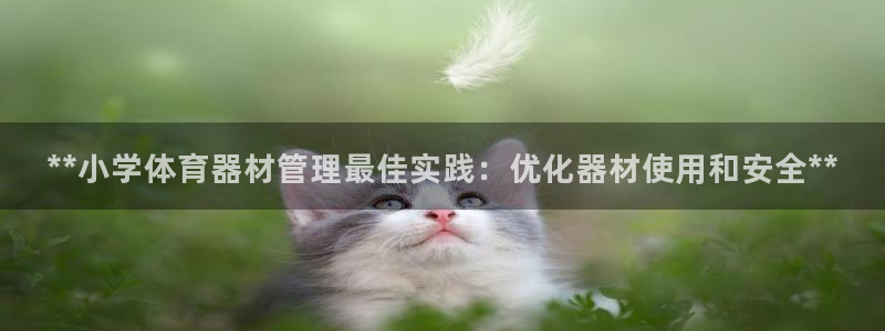尊龙集团：**小学体育器材管理最佳实践：优化器材使用