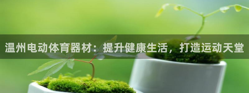 尊龙集团官网：温州电动体育器材：提升健康生活，打造运