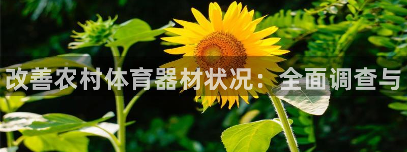 尊龙凯时ag旗舰：改善农村体育器材状况：全面调查与