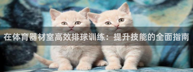 尊龙网址苹果版下载：在体育器材室高效排球训练：提升技