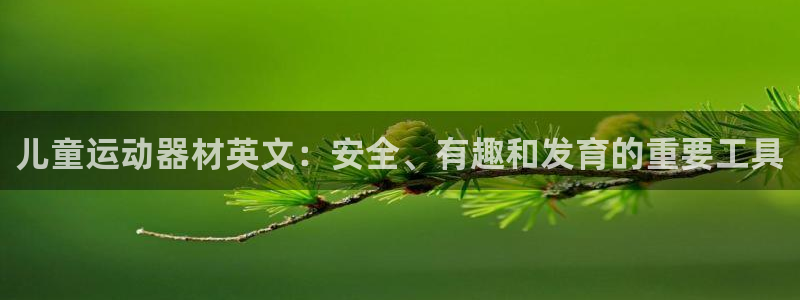 尊龙怎么没消息了：儿童运动器材英文：安全、有趣和发育