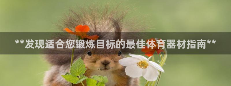 尊龙凯时人生就是博·(中国)官网最新：**发现适合您