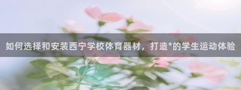 有人在凯时赢过钱吗：如何选择和安装西宁学校体育器材，