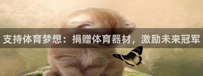 尊龙人生就是博官网登录手机：支持体育梦想：捐赠体育器