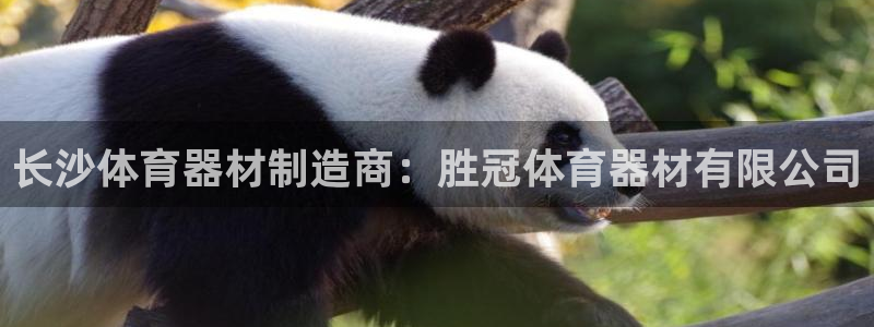 凯时kb88·中国官方网站：长沙体育器材制造商：胜冠
