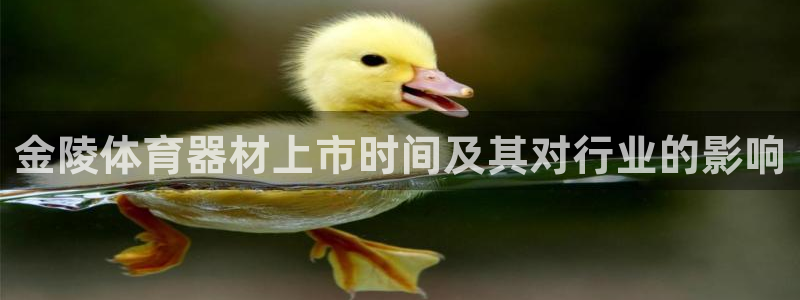 z6尊龙官网平台下载：金陵体育器材上市时间及其对行业的影响