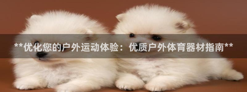 尊龙人生就是博网站：**优化您的户外运动体验：优质户外体育器