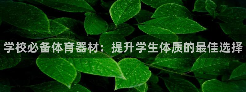 新版尊龙99：学校必备体育器材：提升学生体质的最佳选择