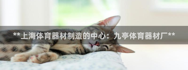 凯时k66官方发布：**上海体育器材制造的中心：九亭