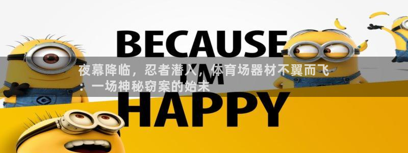 尊龙凯时人生就是搏平台：夜幕降临，忍者潜入，体育场器