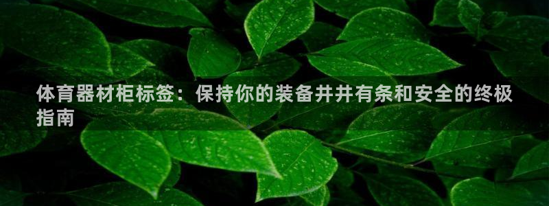 尊龙凯时的生产设备：体育器材柜标签：保持你的装备井井