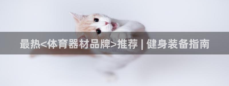 尊龙凯时人生就博官网：最热<体育器材品牌>推荐 | 