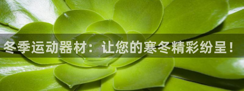 尊龙凯时提现不了：冬季运动器材：让您的寒冬精彩纷呈！