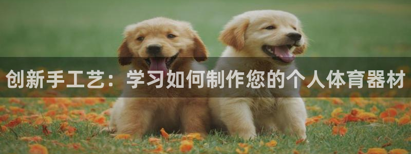 尊龙,人生就是搏