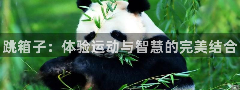 尊龙网址苹果版下载