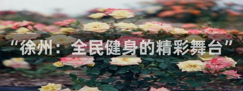 尊龙游戏中心