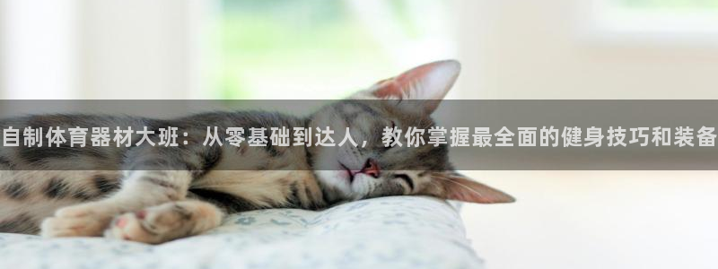 尊龙得过奥斯卡吗