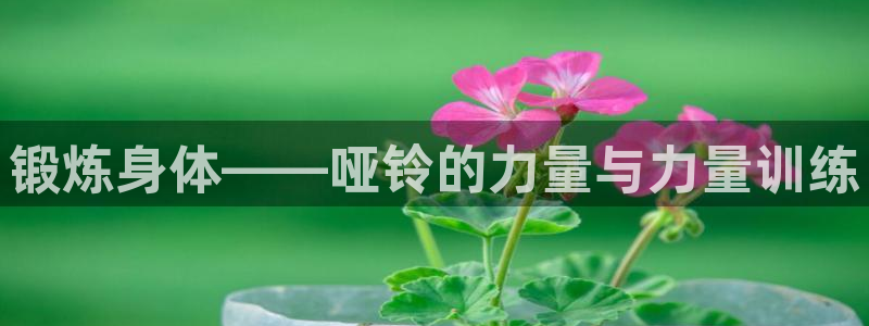 尊龙手机官方客户端下载安装