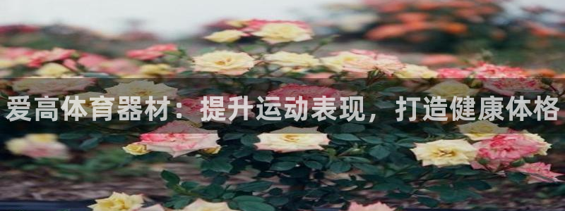 凯时APP官网首页：爱高体育器材：提升运动表现，打造