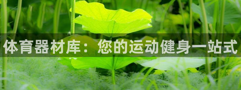 尊龙 ag：体育器材库：您的运动健身一站式