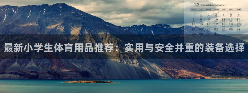 尊龙app怎么样：最新小学生体育用品推荐：实用与安全