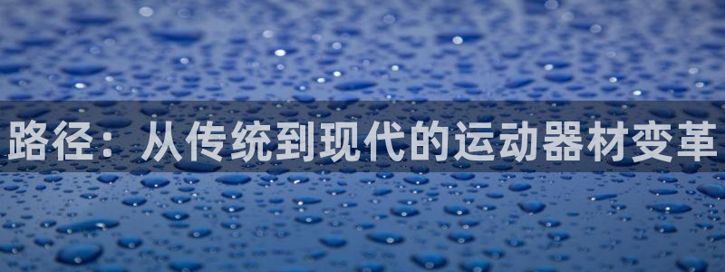 z6尊龙平台是哪里的：路径：从传统到现代的运动器材变