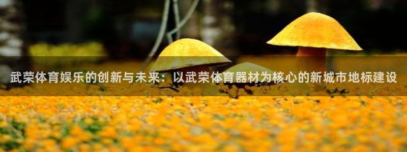 尊龙旗舰厅app：武荣体育娱乐的创新与未来：以武荣体