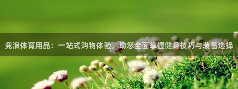 尊龙app怎么样：竞浪体育用品：一站式购物体验，助您全面掌握