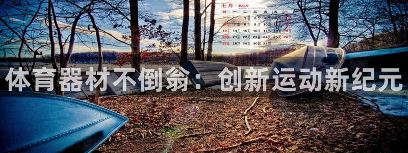 尊龙凯时官方网站：体育器材不倒翁：创新运动新纪元